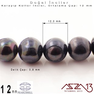 12 mm - Yuvarlak - Düz Yüzey - Doğal Karayip İnci (PearlShell) / 41 Adet (1 Dizi)